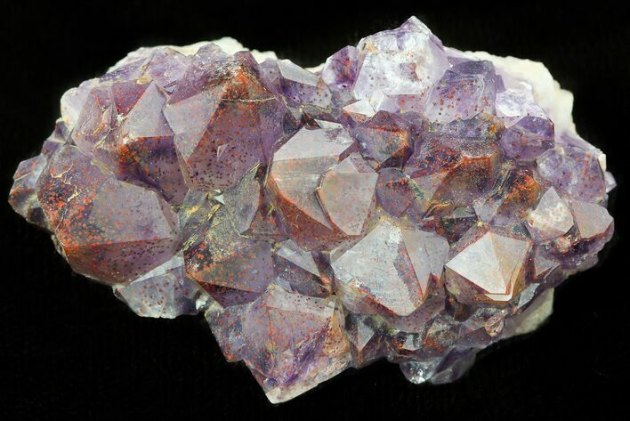 Thunder Bay Amethyst Cluster With Hematite #46287